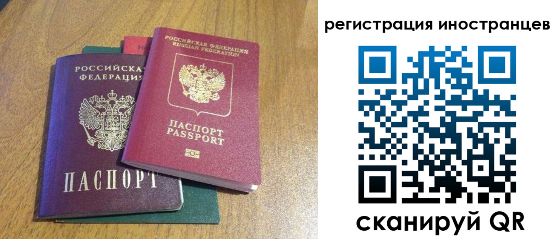 временная регистрация поиск в Мурманской области